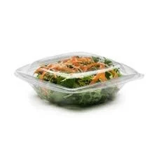 Clear Plastic Salad Container