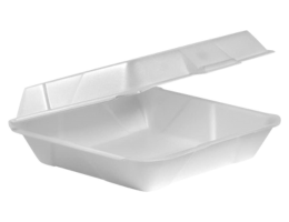 Foam Containers